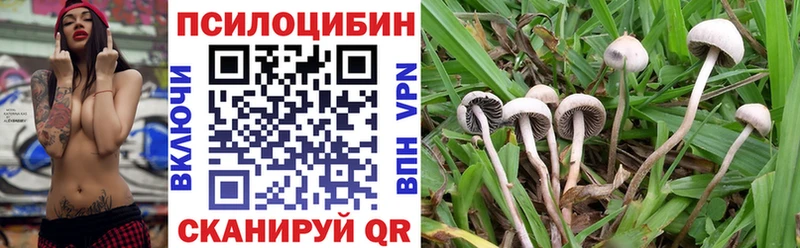 Псилоцибиновые грибы прущие грибы Спас-Клепики